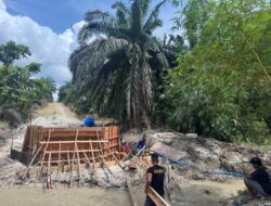 Memasuki Hari Ke-21 Jembatan Merah Putih Presisi  Desa Sungai Kuning Singingi capai 50 Persen