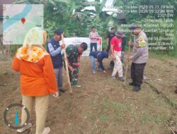 Polsek Kuantan Tengah Dukung Ketahanan Pangan Melalui Penanaman Jagung Pipil di Seberang Taluk