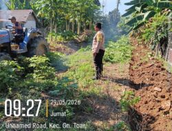 Polisi Cinta Petani, Polsek Kuantan Mudik Cek Penggemburan Lahan Tanaman Jagung di Desa Teluk Beringin