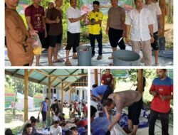 Polres Kepulauan Mentawai Sembelih 3 Ekor Sapi Qurban, Kapolres: Distribusi Kita Perluas hingga Wilayah Sulit Dijangkau