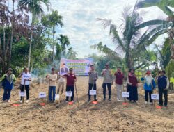 Polres Kuansing Dukung Ketahanan Pangan Melalui Penanaman Jagung Pipil di Desa Banuaran