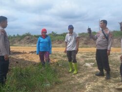 Polisi Cinta Petani, Polsek Kuantan Mudik Cek Perkembangan Tanaman Jagung