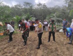 Polsek Benai Dukung Ketahanan Pangan, Laksanakan Penanaman Benih Jagung Pipil di Desa Geringging Baru