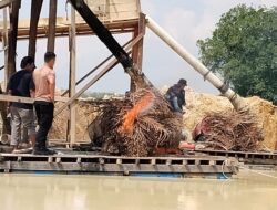 Tindak Lanjuti Laporan Masyarakat Melalui Call Center 110, Polsek Benai Tertibkan Dua Unit PETI di Desa Gunung Kesiangan
