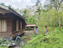 Bhabinkamtibmas Polsek Rangsang Barat Tinjau Tanaman P2B Warga