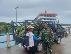 Babinsa Koramil 04/Sikakap Perkuat Silaturahmi dengan Warga Binaan Melalui Komsos