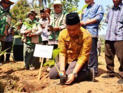 Payakumbuh Tanam 3.000 Bibit Pisang untuk Perkuat Pasokan MBG dan Tingkatkan Kesejahteraan Petani
