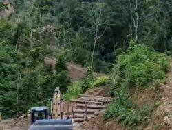 Gakkum Kehutanan Bergerak, Pembabat Hutan Ilegal Sariak Bayang Diseret ke Kajari Solok