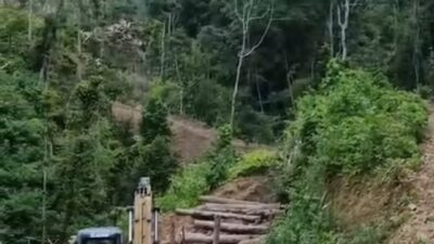 Gakkum Kehutanan Bergerak, Pembabat Hutan Ilegal Sariak Bayang Diseret ke Kajari Solok