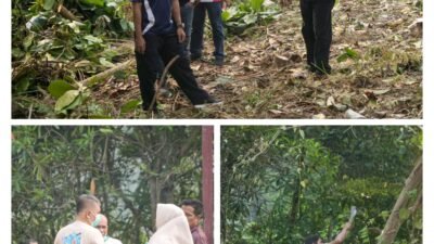 Goro Massal Pemkab Kuansing: Bukan Sekadar Bersih-Bersih, Arsip Pun Ditata Agar Tak Lagi Berantakan