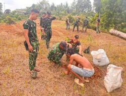 Satgas TMMD ke-130 Kodim 0319/Mentawai Tanam 50 Bibit Jeruk di Lahan SP1 Desa Sipora Jaya
