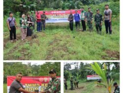 Hijaukan Desa, Tumbuhkan Harapan: Satgas TMMD ke-130 Kodim 0319/Mentawai Tanam 150 Bibit Jeruk dan Kelapa