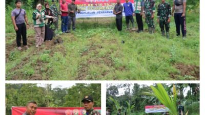 Hijaukan Desa, Tumbuhkan Harapan: Satgas TMMD ke-130 Kodim 0319/Mentawai Tanam 150 Bibit Jeruk dan Kelapa